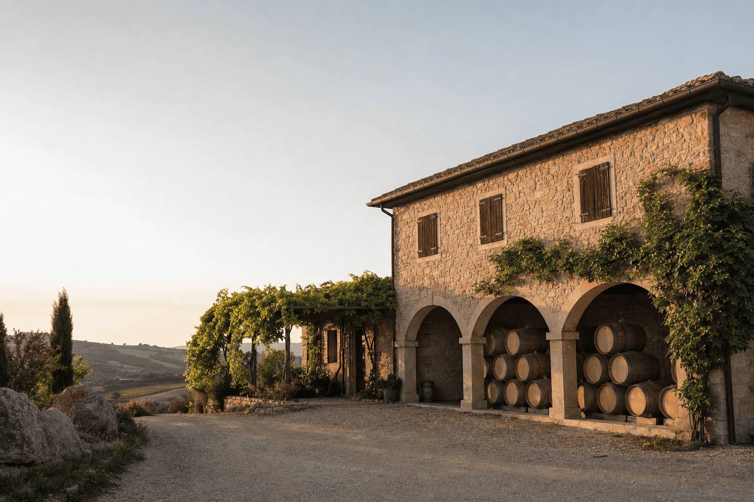 Bodega Pintia