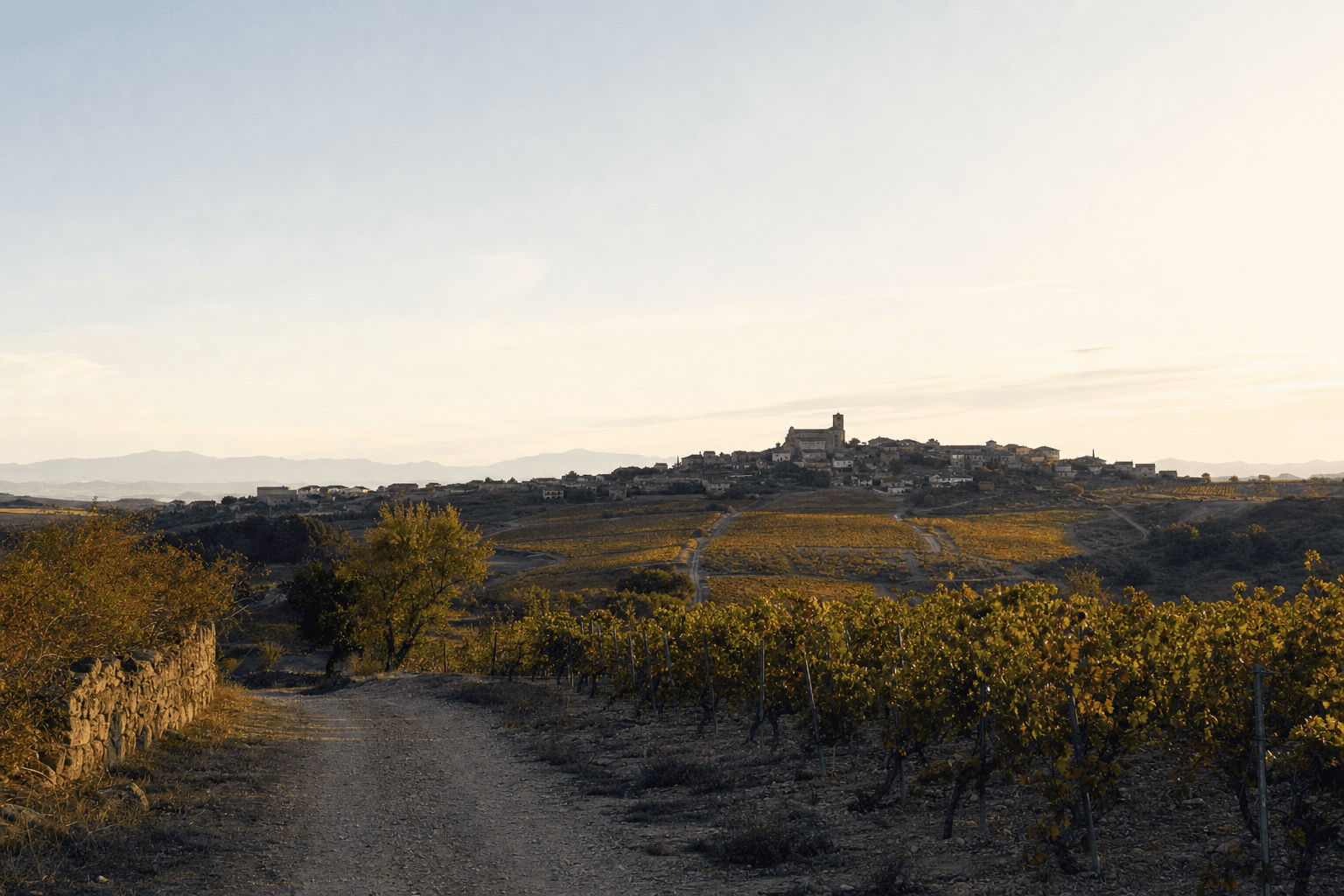 Briones