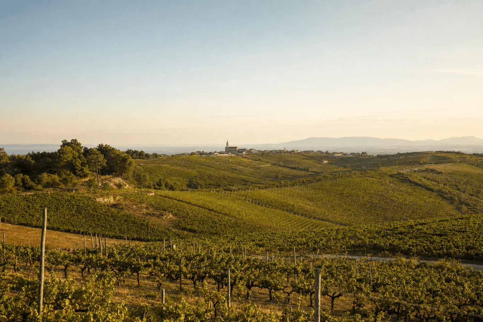 Rías Baixas