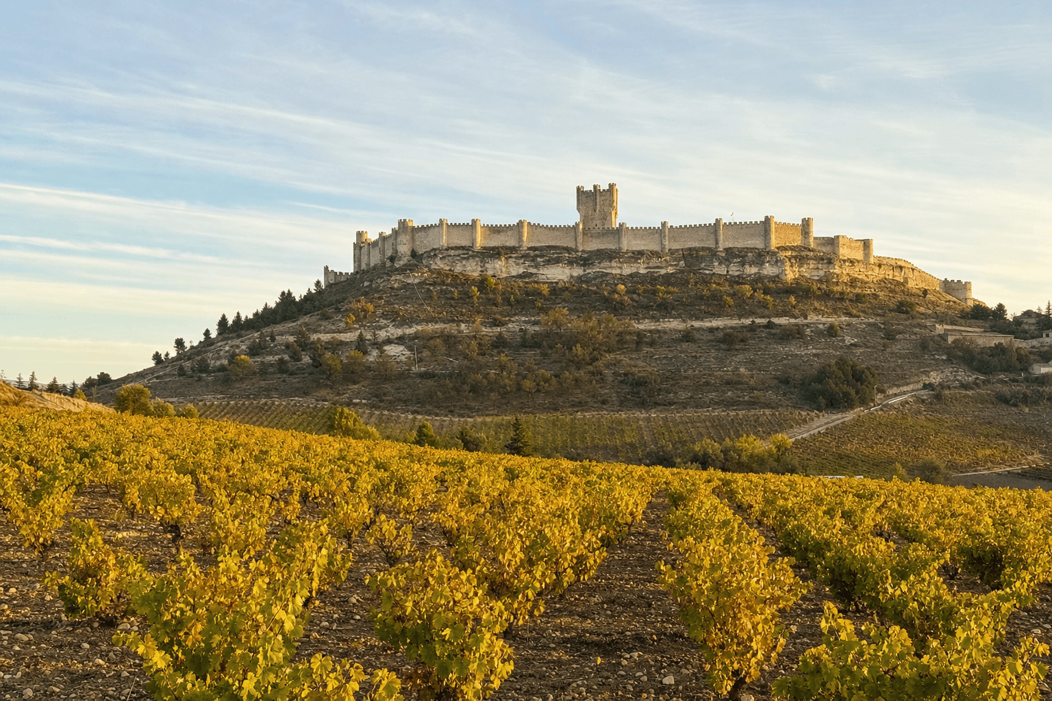 Castillo de Peñafiel sobre el cerro con viñedos de Ribera del Duero en primer término