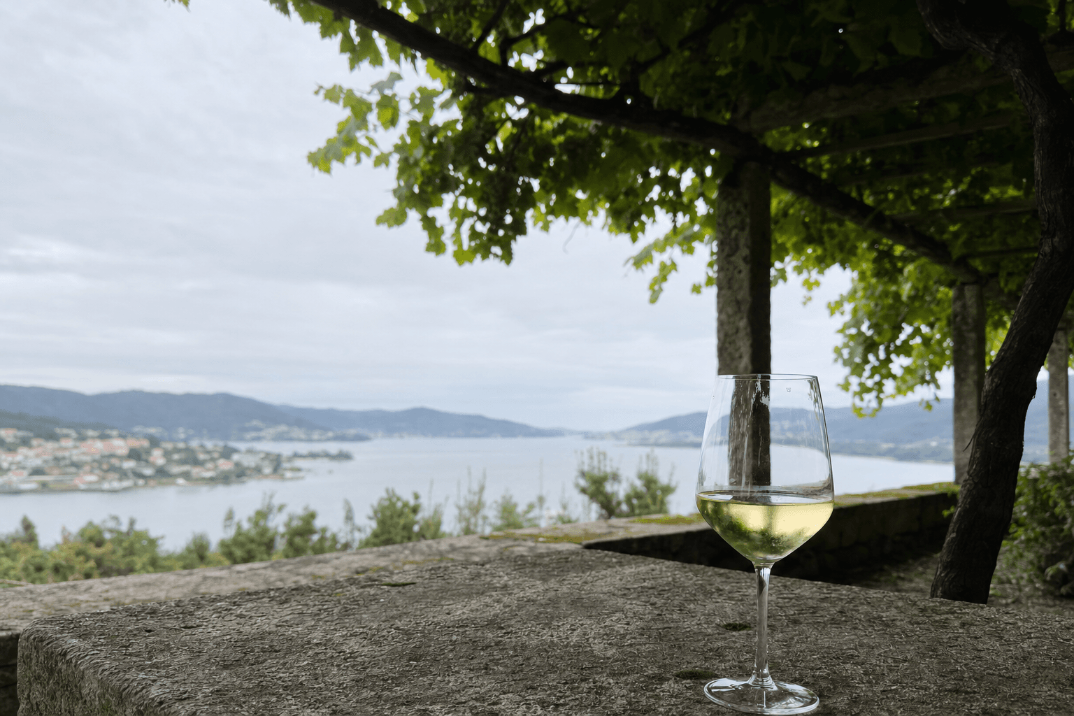 Copa de albariño junto a viñedos en parra sobre la ría gallega