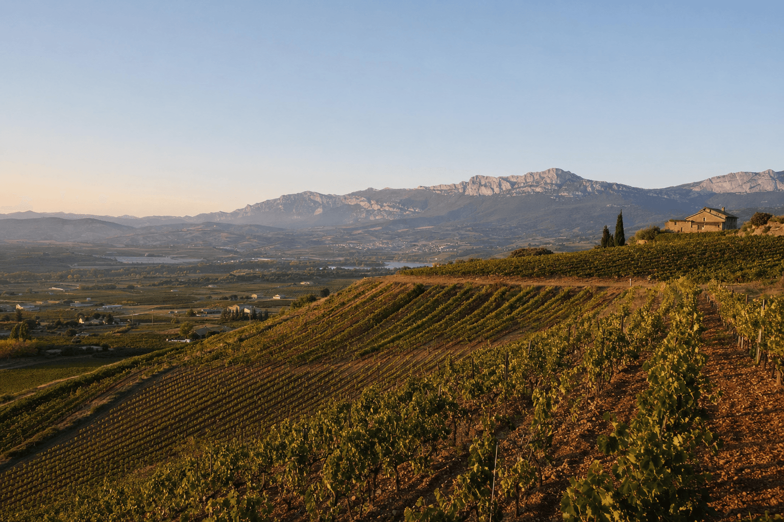 Rioja Alta vs Rioja Alavesa — diferencias reales