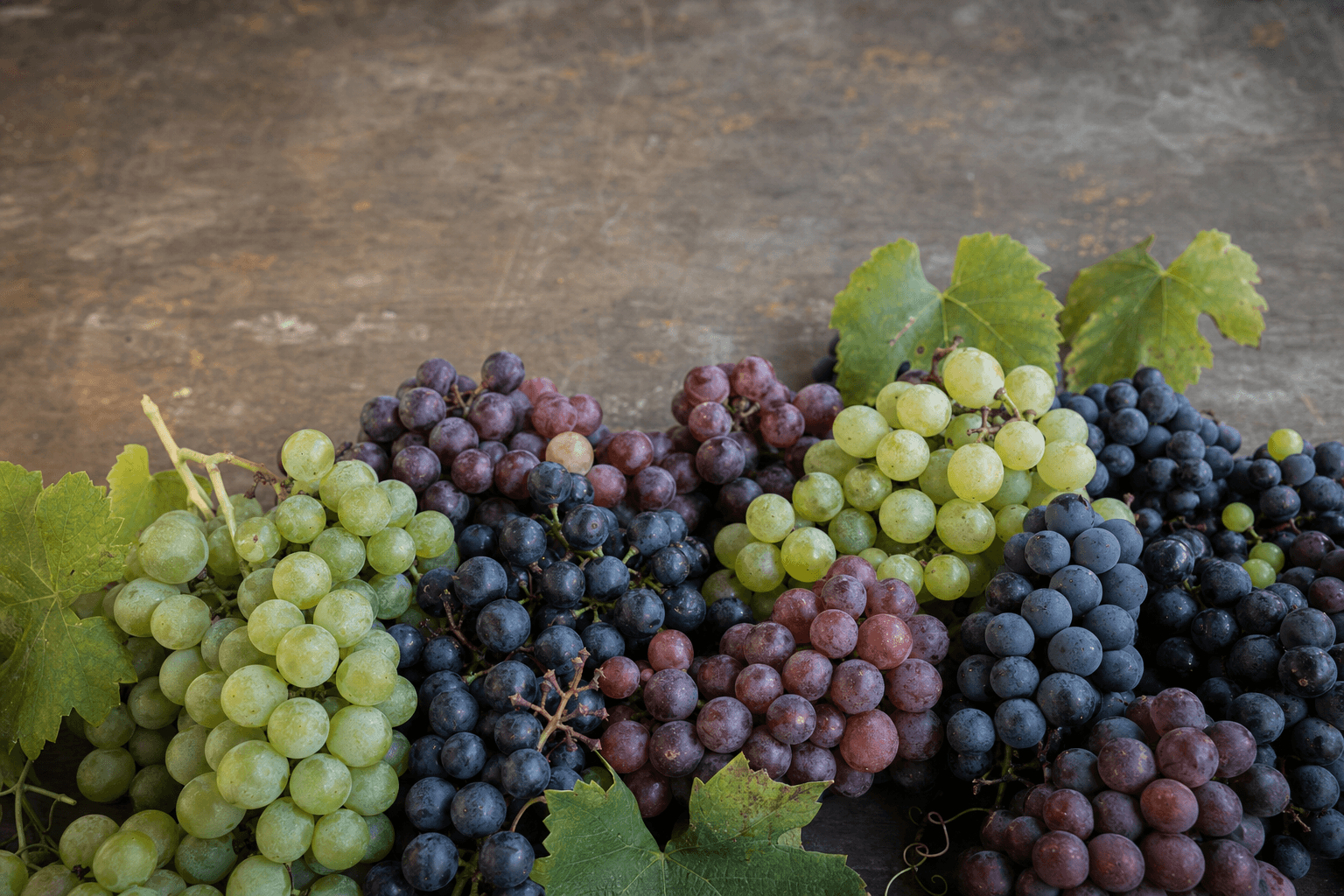 Racimos de distintas variedades de uva de vino, tintas y blancas, sobre una mesa
